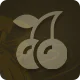 Available Casino Games